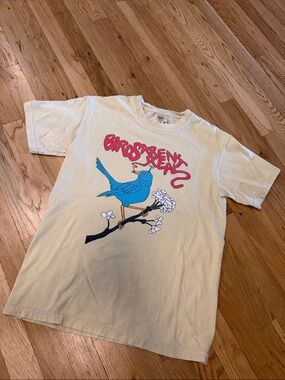 Comfort Colors Cream Tee with Blue Bird and Pink Script